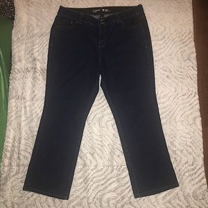 Lane Bryant Women’s Straight Jeans Size 24 (#1-30)